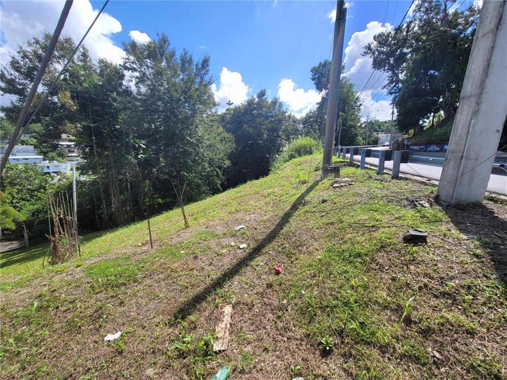 A grassy, sloped lot sits next to a road with a guardrail and utility poles — CARR 829, KM 2.3 BO. BUENA VISTA, BAYAMON, PR