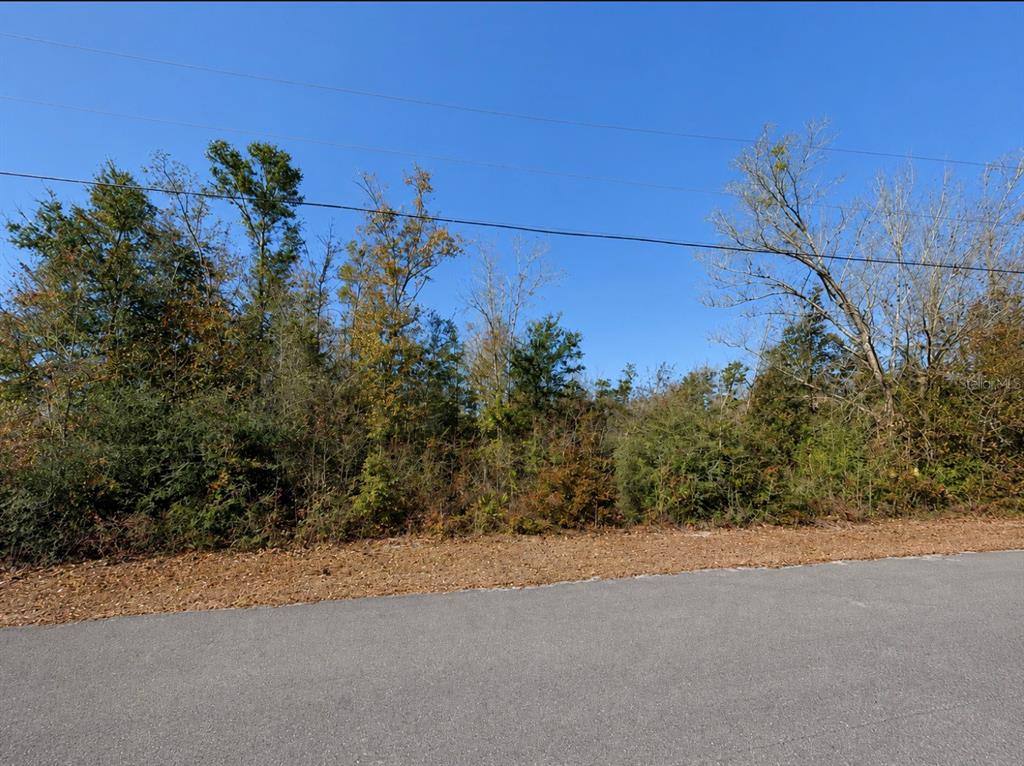 An aerial map view shows a highlighted vacant lot located along a curved residential street — 5527 LAKEWOOD CIRCLE, PANAMA CITY, FL