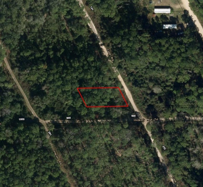 0 Coot Drive, FL 32189, FL — photo 2 of 2