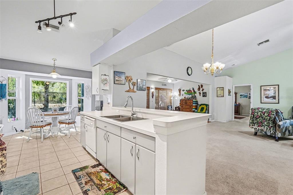 A single-story house with a beige exterior, a two-car garage, and a concrete driveway — 11220 HOLLANDER AVENUE, HUDSON, FL