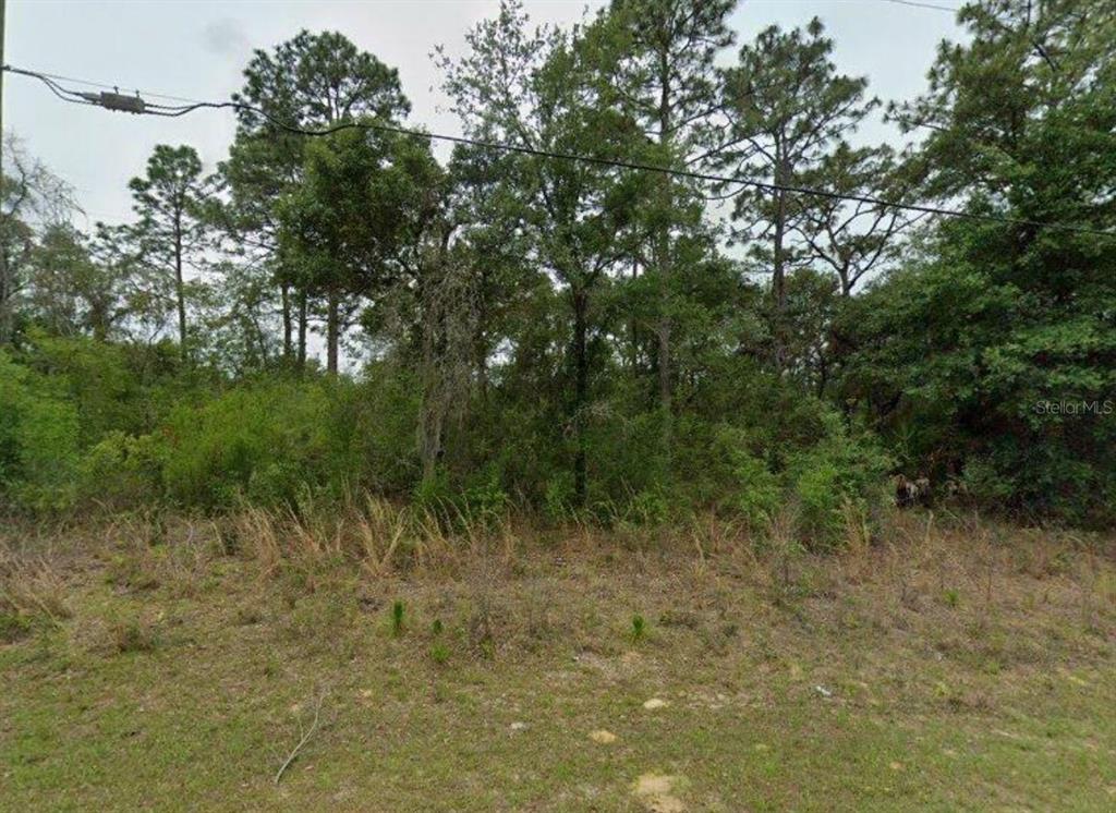 2338 W RILEY DRIVE