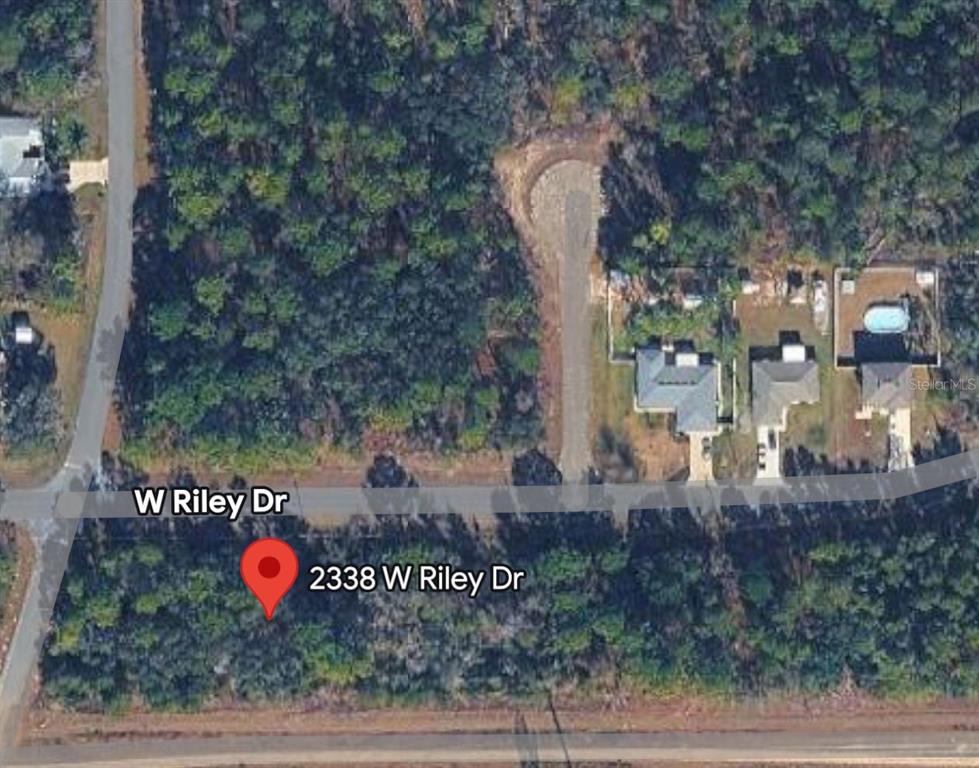 This is an aerial map view showing a wooded lot and adjacent residential properties — 2338 W RILEY DRIVE, CITRUS SPRINGS, FL