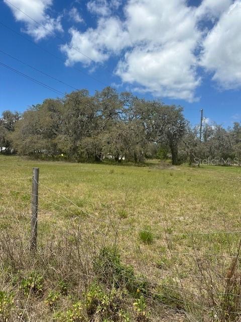 29707 COOPER ROAD, WESLEY CHAPEL, FL — photo 2 of 6