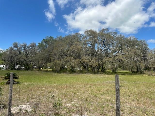 29707 COOPER ROAD, WESLEY CHAPEL, FL — photo 3 of 6