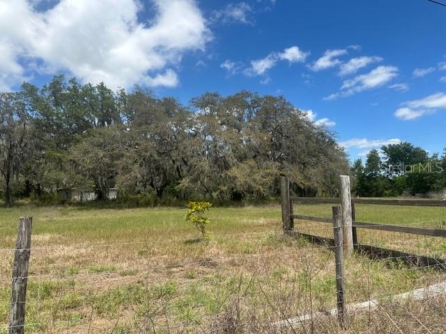 29707 COOPER ROAD, WESLEY CHAPEL, FL — photo 4 of 6
