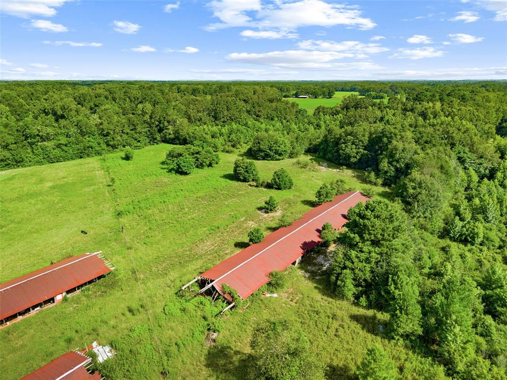 An aerial view shows several long, red-roofed agricultural buildings situated in a grassy, wooded field — 2853 R M WARD ROAD, PONCE DE LEON, FL