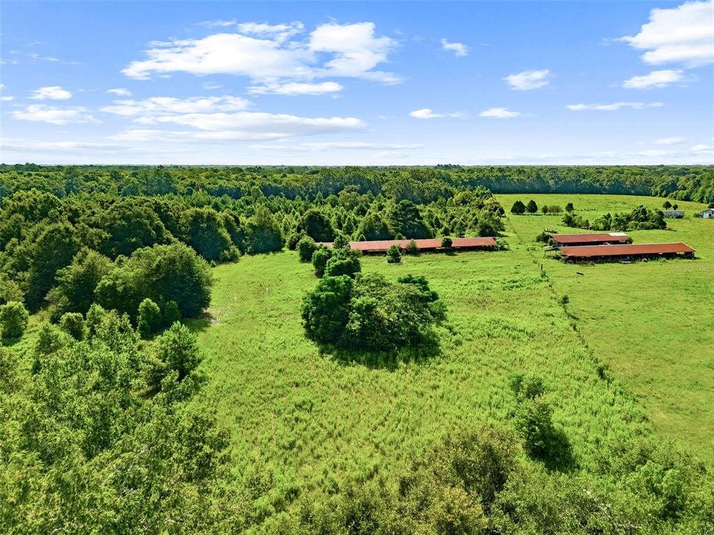 An aerial view shows a large grassy field with several long, red-roofed agricultural buildings — 2853 R M WARD ROAD, PONCE DE LEON, FL
