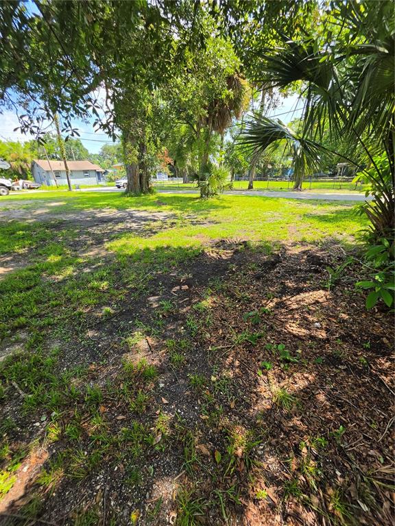 A grassy, partially shaded vacant lot with scattered trees and a house in the background — 547 LIVE OAK AVENUE, DAYTONA BEACH, FL