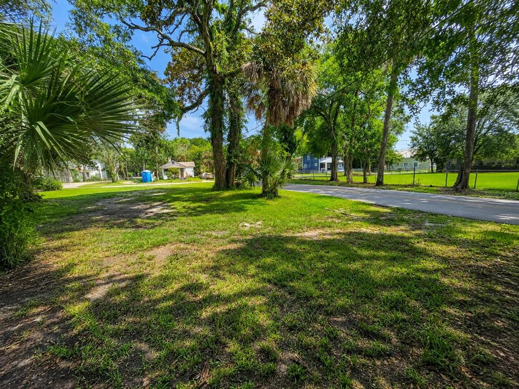 A grassy, tree-filled vacant lot sits adjacent to a paved road in a residential area — 547 LIVE OAK AVENUE, DAYTONA BEACH, FL