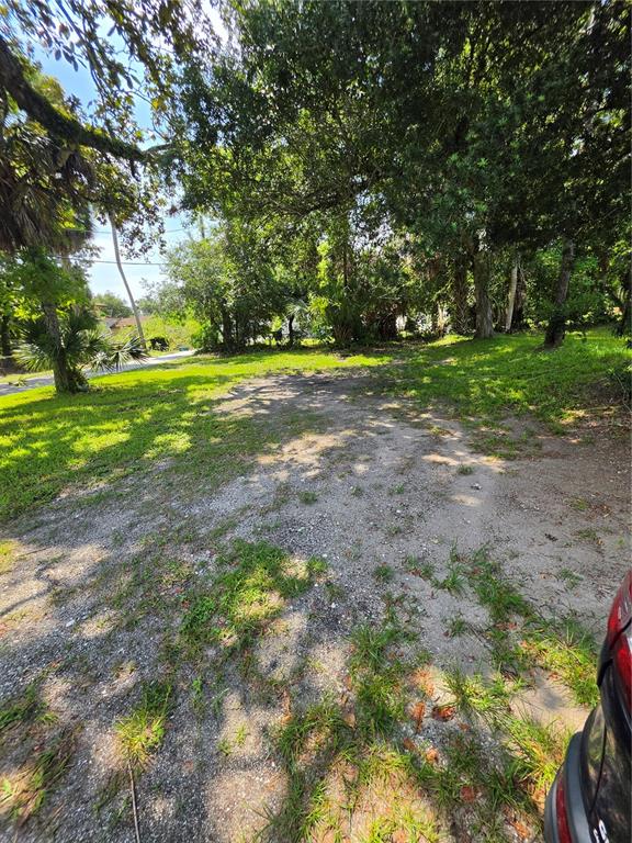 A gravel driveway leads toward a grassy, tree-filled lot on a sunny day — 547 LIVE OAK AVENUE, DAYTONA BEACH, FL
