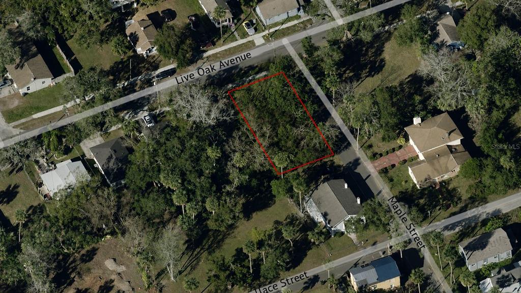 An aerial view shows a vacant, wooded rectangular lot outlined in red between two streets — 547 LIVE OAK AVENUE, DAYTONA BEACH, FL