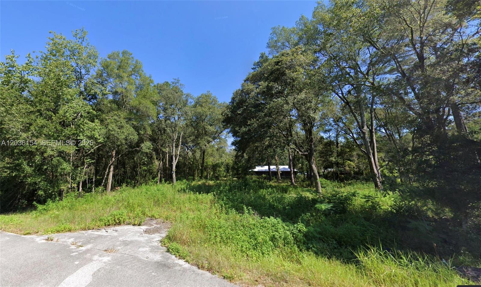 A paved road leads to a wooded, overgrown lot with a distant house visible — NW 13th ST, Ocala FL 34482, OCALA, FL