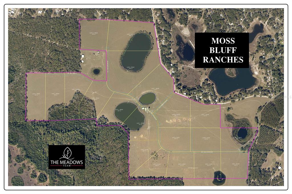 An aerial map shows the property boundaries of Moss Bluff Ranches divided into multiple lots — SE 74TH LANE ROAD UNIT 8-WEST, OCKLAWAHA, FL