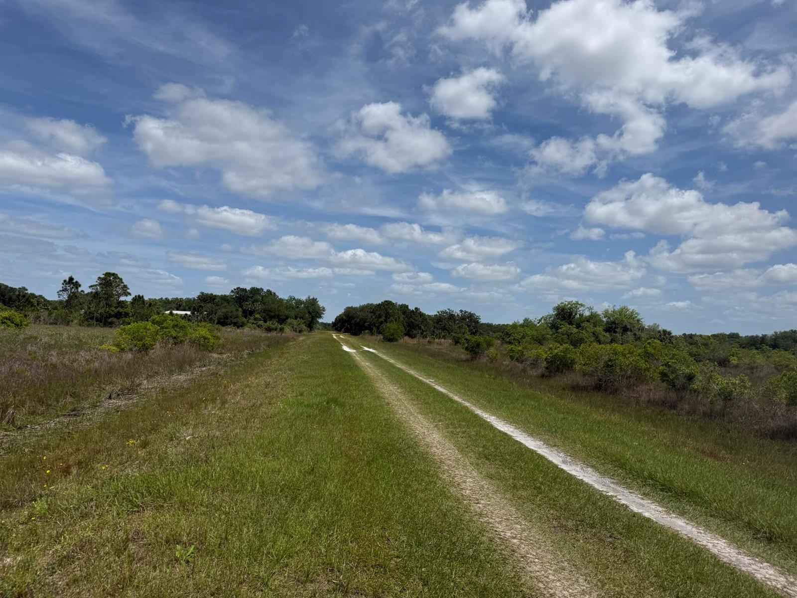 A dirt path stretches through a grassy field under a bright blue sky with clouds — 15575 NW 296th Street, Okeechobee FL 34972, OKEECHOBEE, FL