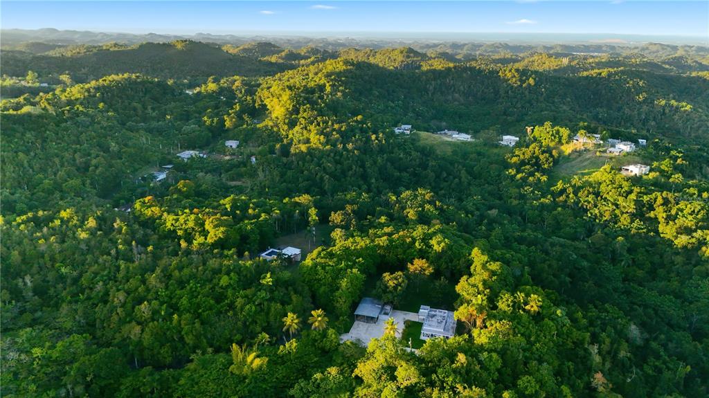 An aerial view shows several houses nestled within a dense, hilly, tropical forest landscape — BARRIO CANDELARIA, VEGA ALTA, PR