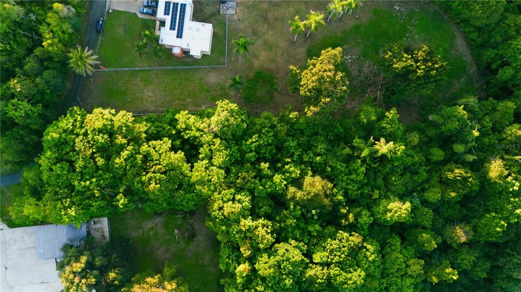 An aerial view shows a house with solar panels surrounded by trees and grassy lawns — BARRIO CANDELARIA, VEGA ALTA, PR