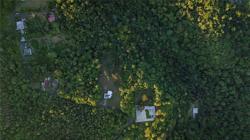 An aerial view shows several houses surrounded by dense forest and vegetation — BARRIO CANDELARIA, VEGA ALTA, PR