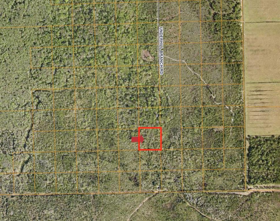 This aerial map shows a wooded parcel of land highlighted by a red square — LAKE HARNEY ROAD, OSTEEN, FL