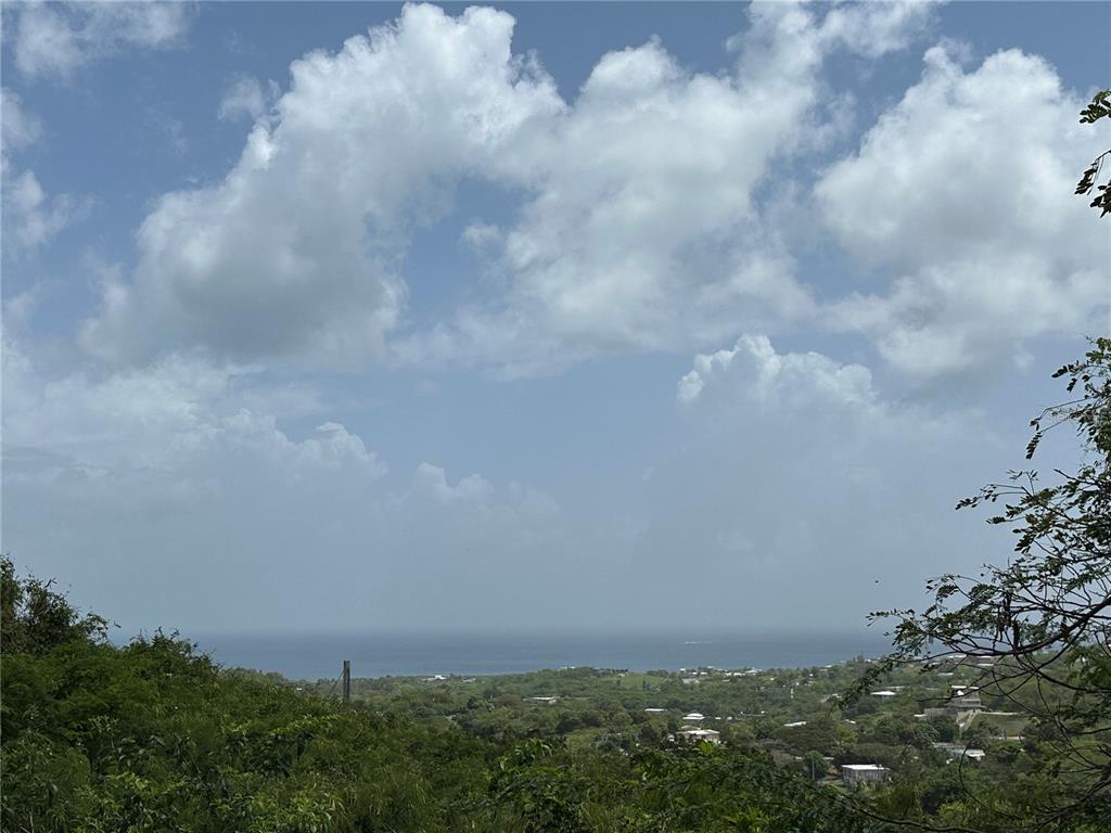 A view of a lush green landscape leading to the ocean under a cloudy sky — COMUNIDAD VILLA BORINQUÉN, VIEQUES, PR