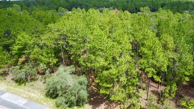 An aerial view shows a wooded lot with pine trees adjacent to a paved road — 3861 W FIREWOOD LOOP, CITRUS SPRINGS, FL