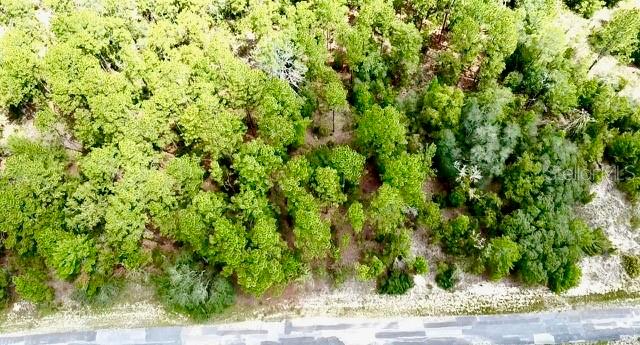 An aerial view shows a wooded lot bordering a paved road — 3861 W FIREWOOD LOOP, CITRUS SPRINGS, FL