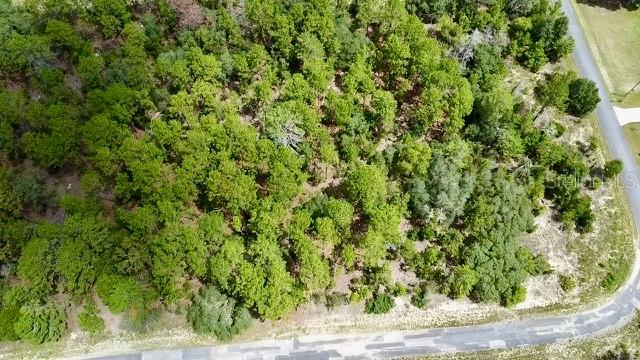 An aerial view shows a wooded lot bordered by a paved road — 3861 W FIREWOOD LOOP, CITRUS SPRINGS, FL