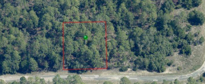 An aerial view shows a rectangular plot of wooded land outlined in red near a road — 3861 W FIREWOOD LOOP, CITRUS SPRINGS, FL