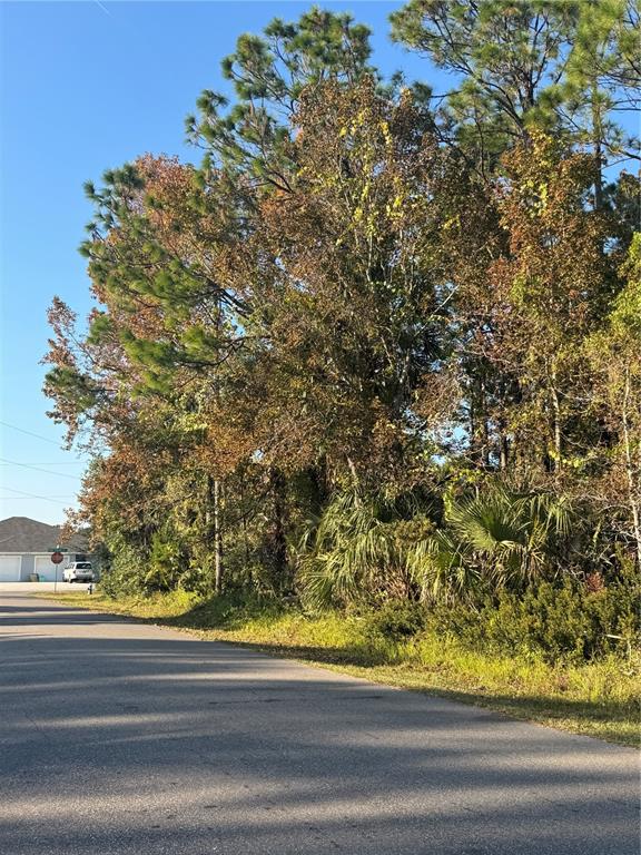 A paved road leads toward a wooded lot with tall trees and dense undergrowth — 30 PONY EXPRESS DRIVE, PALM COAST, FL