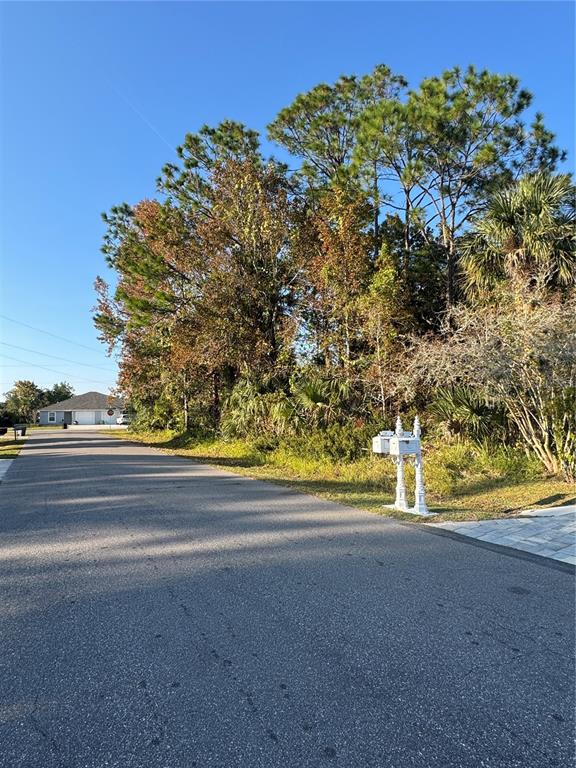 A paved road leads toward a house past a wooded lot with two white mailboxes — 30 PONY EXPRESS DRIVE, PALM COAST, FL