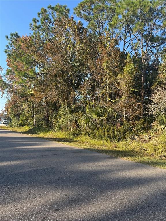 A paved road runs alongside a wooded lot with various trees and dense undergrowth — 30 PONY EXPRESS DRIVE, PALM COAST, FL