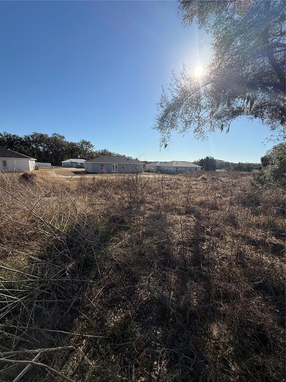 A vacant, overgrown lot sits in front of several single-story suburban houses under a sunny sky — 4428 E WALKER STREET, INVERNESS, FL