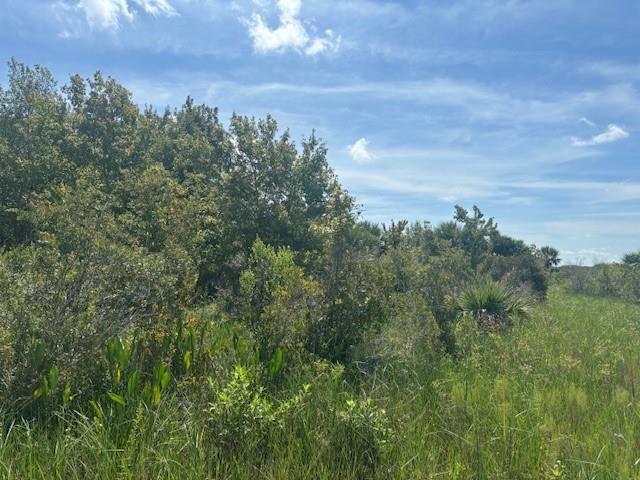 A view of a grassy field leading to a dense line of trees and shrubs — 0 NW 318th Street, Okeechobee FL 34972, OKEECHOBEE, FL
