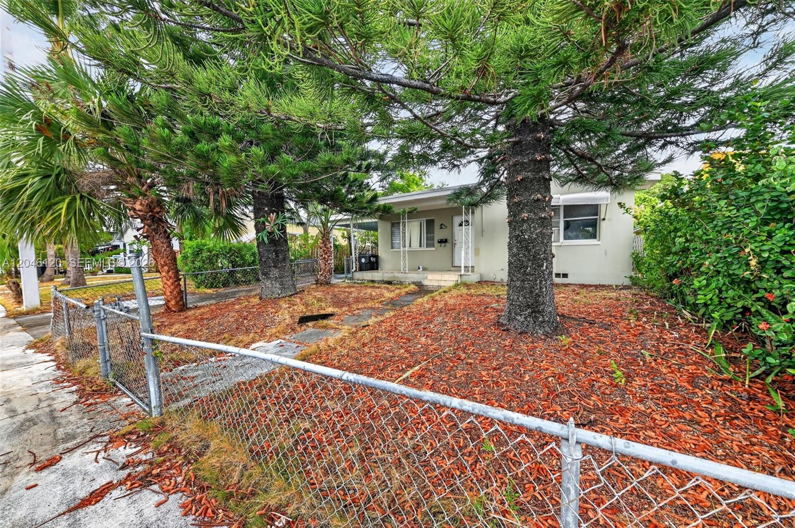 A single-story house with a chain-link fence and large pine trees in the front yard — 914 N K St, Lake Worth FL 33460, LAKE WORTH, FL