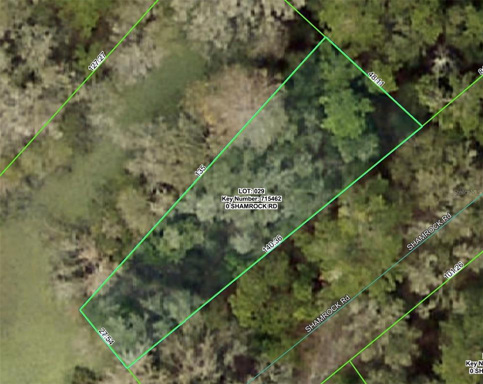 This is an aerial map showing the property boundaries and dimensions of a vacant lot — SHAMROCK ROAD, DADE CITY, FL
