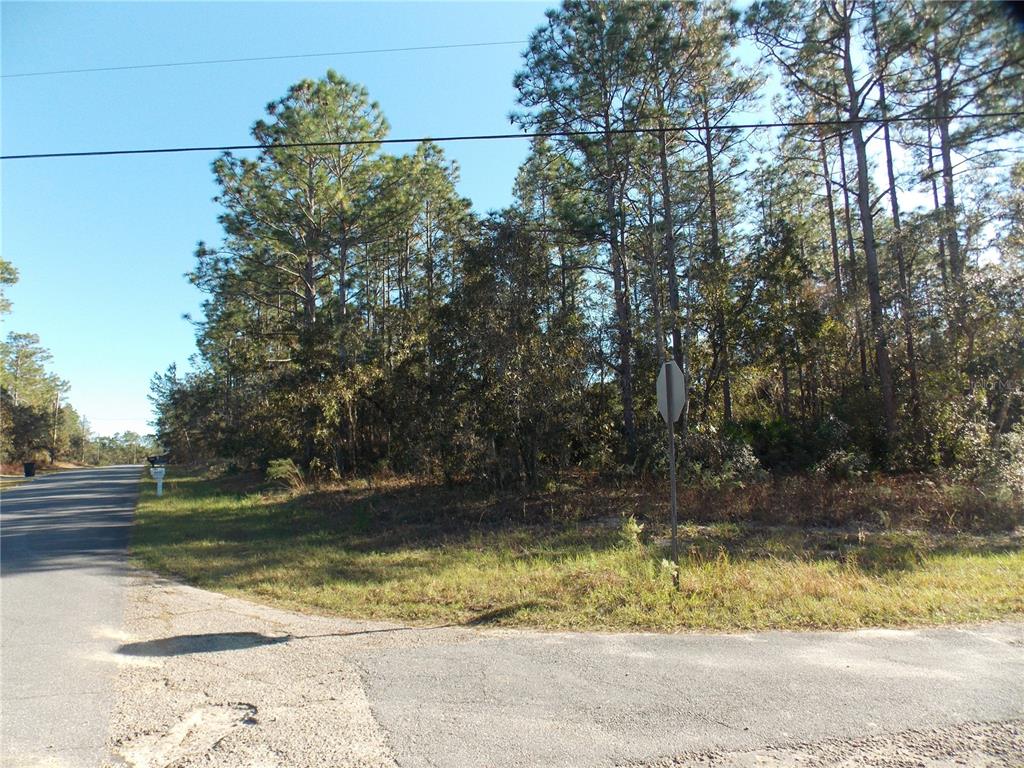 A paved road intersection meets a wooded, undeveloped lot with a stop sign — 9432 N CHERRY LAKE DRIVE, CITRUS SPRINGS, FL