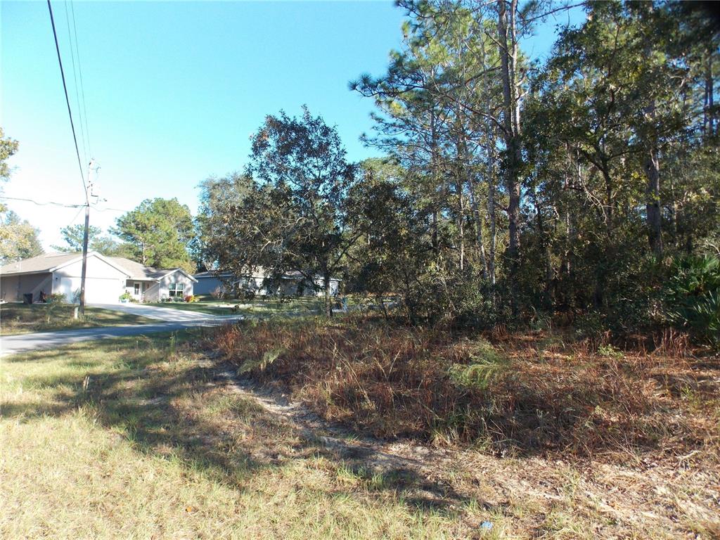 A vacant, wooded lot sits next to a residential street with houses in the background — 9432 N CHERRY LAKE DRIVE, CITRUS SPRINGS, FL
