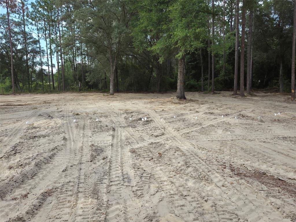 A cleared, sandy lot features tire tracks and a line of small white survey flags — TBD SE 40TH STREET, MORRISTON, FL