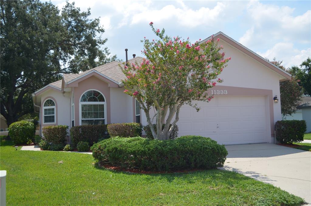 11333 PINK BLOSSOM COURT