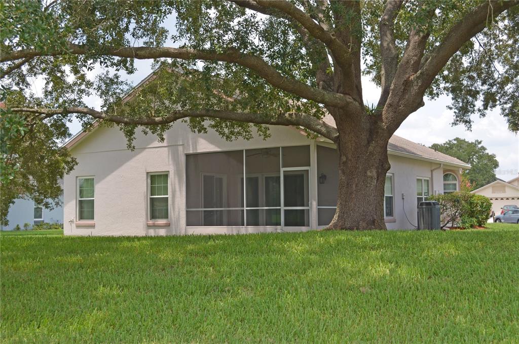 The exterior of a house features a screened-in porch and a large oak tree — 11333 PINK BLOSSOM COURT, ORLANDO, FL