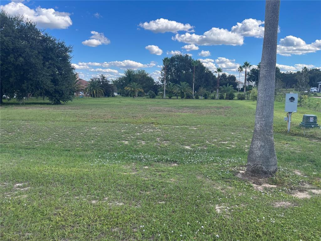 A grassy, vacant residential lot features a palm tree in the foreground under a cloudy sky — 7434 JASMINE STREET, GROVELAND, FL