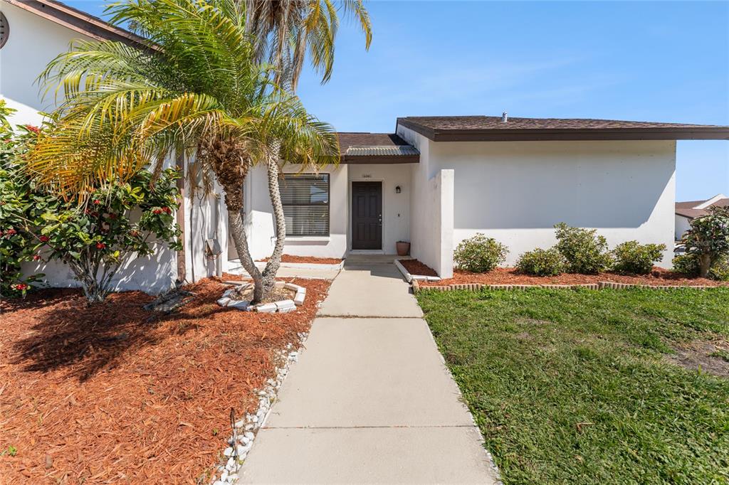 A concrete walkway leads to the front entrance of a white house with a palm tree — 5201 BELLEFIELD DRIVE, TAMPA, FL
