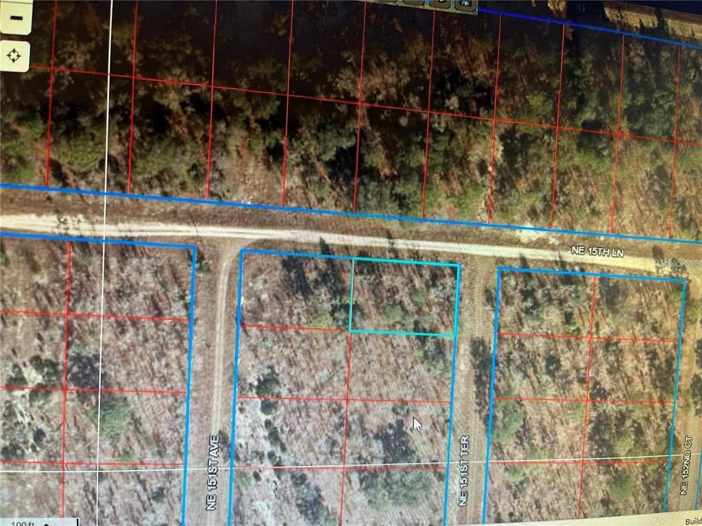 An overgrown, grassy lot features scattered trees and a utility pole on the right side — 0000 NE 15 LANE, WILLISTON, FL