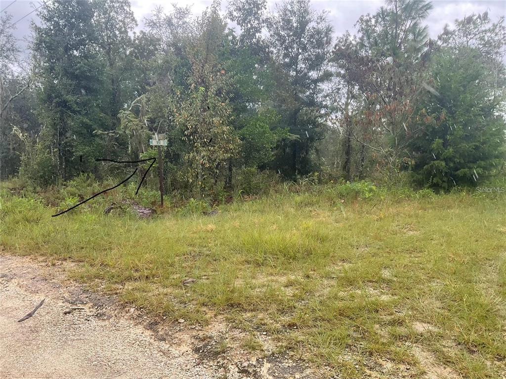A wooden utility pole stands in a grassy, wooded lot under a cloudy sky — 0000 NE 15 LANE, WILLISTON, FL