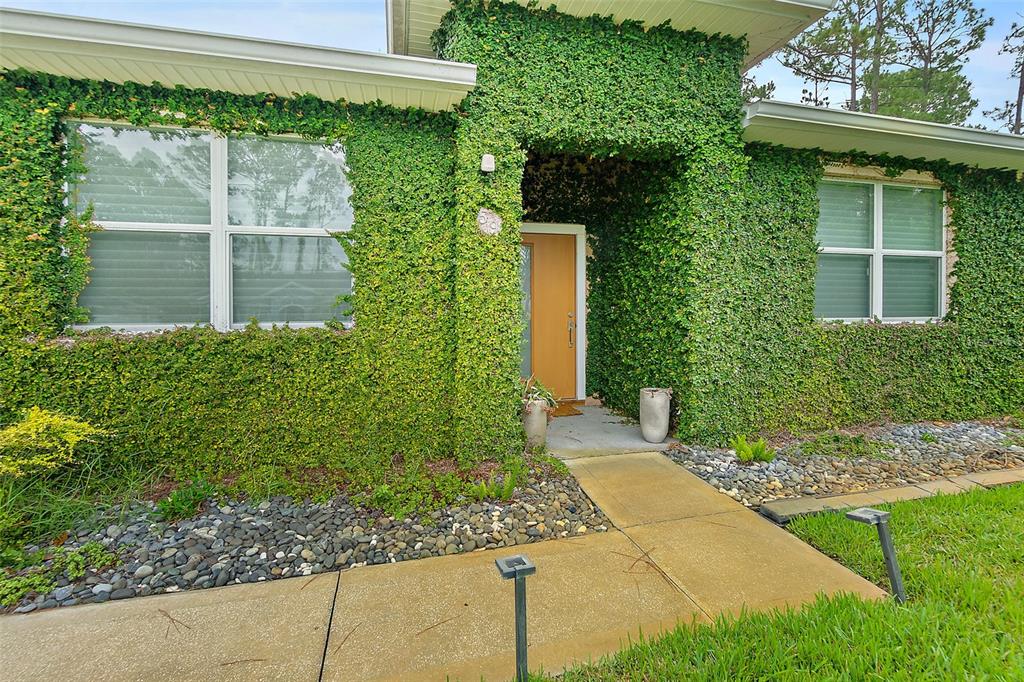 A single-story house exterior features walls covered in green ivy and a wooden front door — 59 BEAVERDAM LANE, PALM COAST, FL