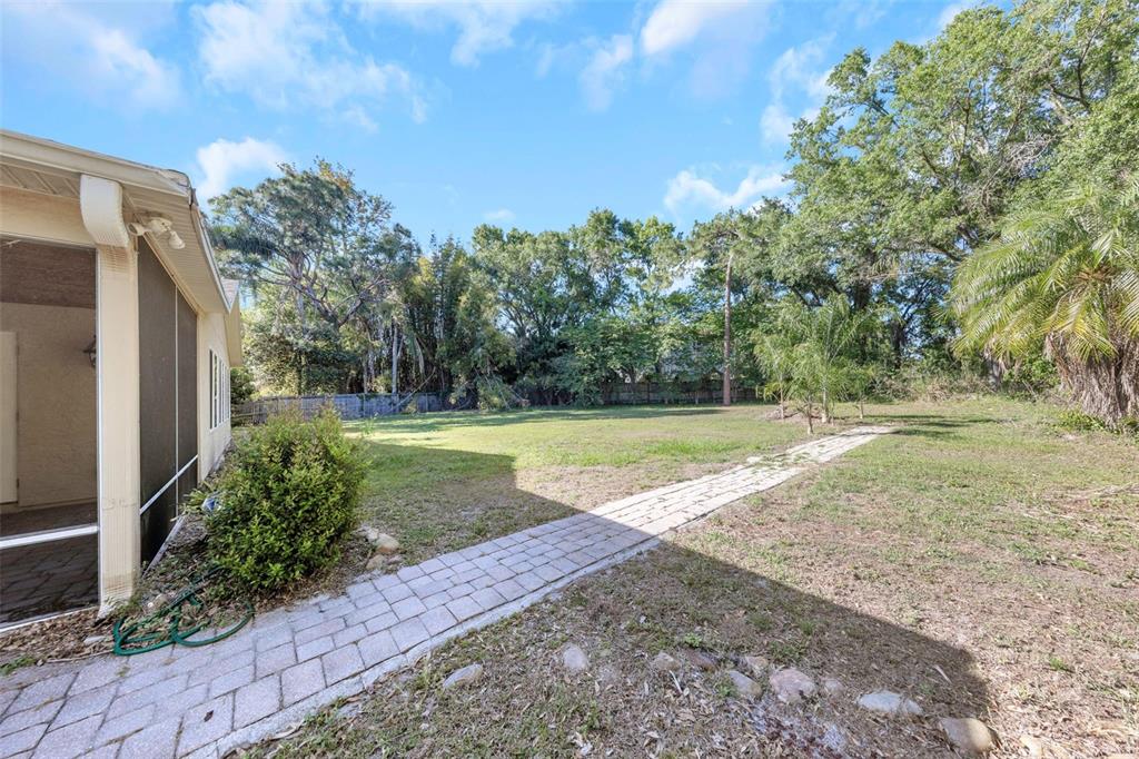 A paved walkway leads across a grassy backyard toward a line of mature trees — 4101 WINDTREE DRIVE, TAMPA, FL