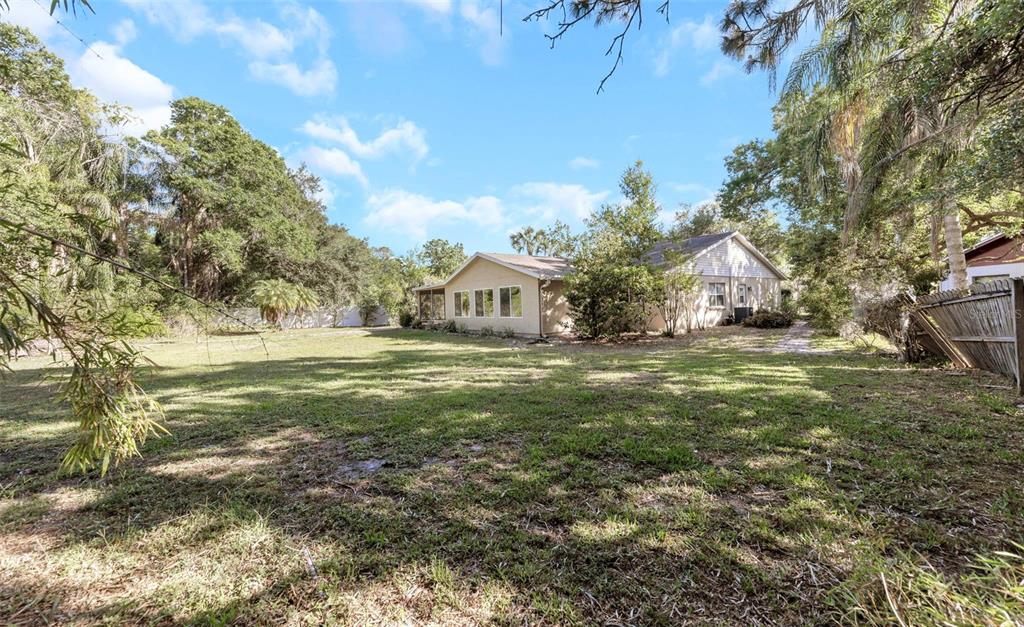 A view of a single-story house exterior from a large, grassy backyard with trees — 4101 WINDTREE DRIVE, TAMPA, FL