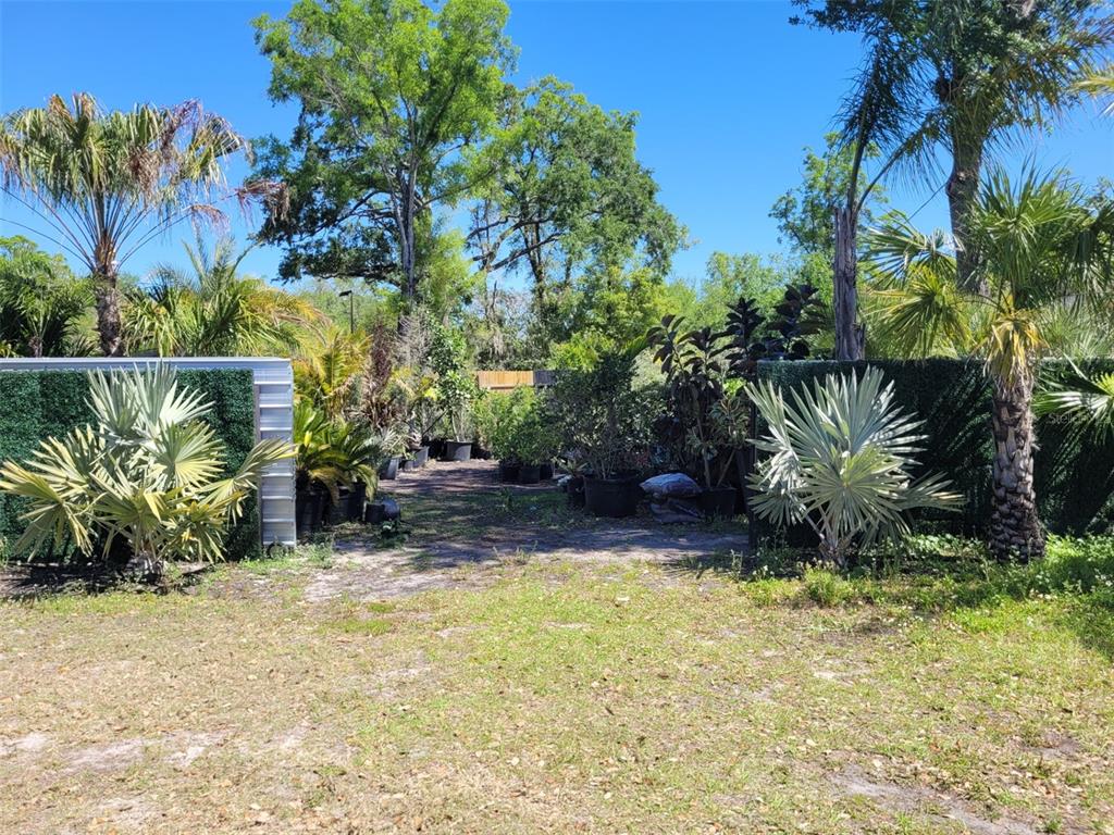 An outdoor nursery area features potted plants and palm trees enclosed by green privacy fencing — 7513 EDGEWATER DRIVE, ORLANDO, FL