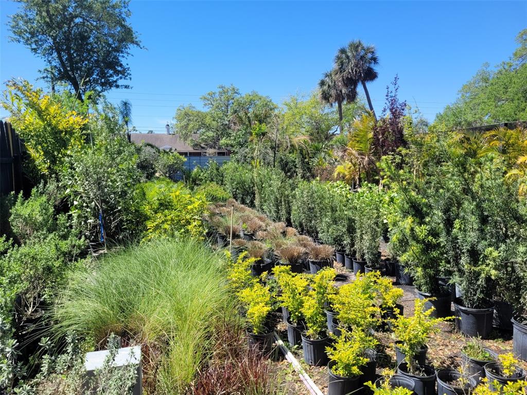 A nursery area filled with various potted shrubs, ornamental grasses, and trees under a clear sky — 7513 EDGEWATER DRIVE, ORLANDO, FL