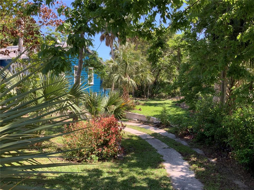 A blue house sits behind a concrete driveway surrounded by trees and tropical landscaping — 116 BRADDOCK AVENUE, DAYTONA BEACH, FL