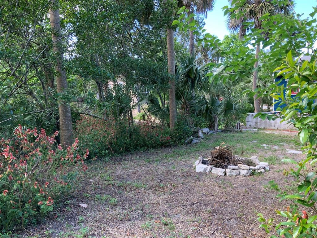 A backyard features a stone fire pit, lush trees, palm trees, and a small garden — 116 BRADDOCK AVENUE, DAYTONA BEACH, FL